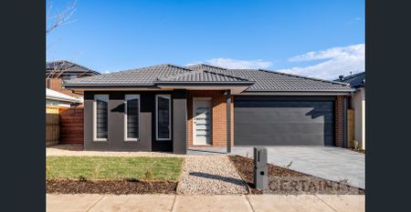 Stylishly Furnished Co-Living Space Ready for You - Room available for $210 per week! - Photo 3