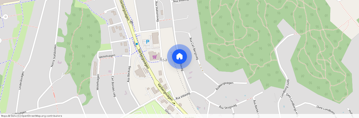 Åsa villaväg