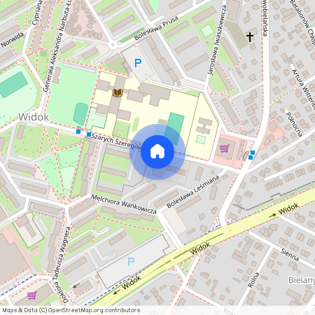 Szarych Szeregów 21, Skierniewice, Widok