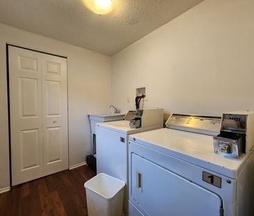 For Lease - 5 CALCOTT Court Unit# LOWER, Thorold, Ontario - Photo 4