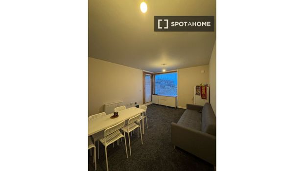 Shared room in shared flat in Ballybough, Dublin - Photo 1