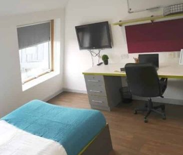 Studio Bronze Plus - Photo 6