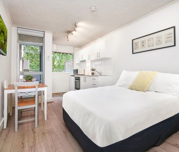 19/13 Waine Street, Surry Hills NSW 2010 - Apartment For Rent | Domain - Photo 3