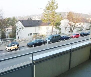 Freundliche Singlewohnung in Zumikon - befristet bis 31.03.2027 - Foto 2