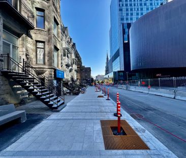 1075 - 1079 Rue St-Denis, app.7, H2X 3L3, H2X 3L3, Montréal - Photo 4