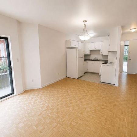 Superbe 3 1/2 rue St-Urbain, Montréal! - Photo 4