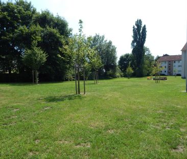 Wohn(t)raum: günstige 2,5 -Zimmer-Wohnung mit Balkon - Photo 2