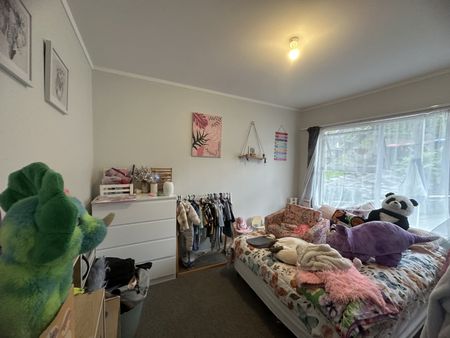 Affordable 2 bedroom unit in Onehunga - Photo 4