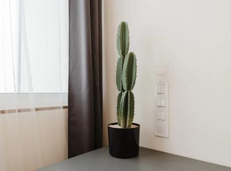 Rua do Pico, Porto, Braga 4200-486 - Photo 4