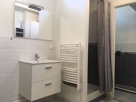 STUDIO MEUBLE CENTRE VILLE - Photo 5