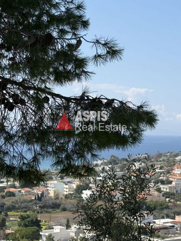 Μονοκατοικία για ενοικίαση Λαγονήσι (Καλύβια Θορικού) - Photo 4