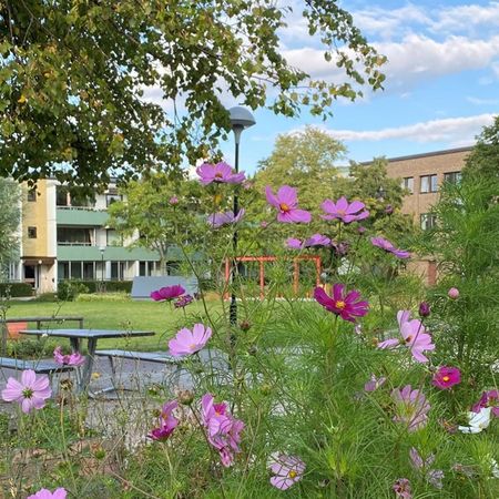 Svansjögatan 55, Bellevuegården - Photo 3