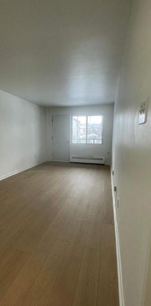 Studio - Montréal - $925 /mo - Photo 1