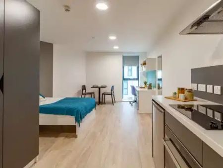 Platinum Plus Studio - Photo 4