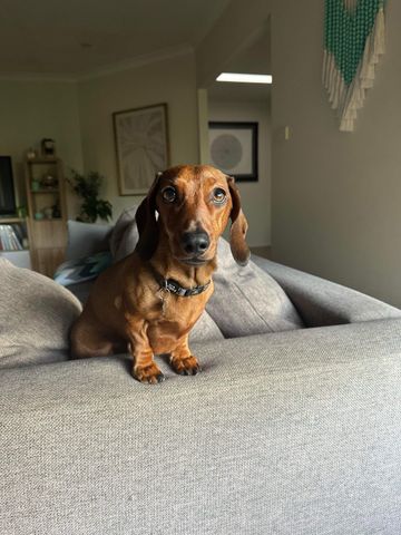 Hoppers Crossing - Photo 2