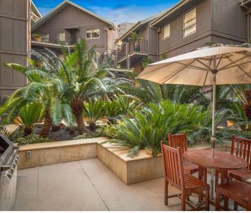 Hidden gem in prime precinct - Photo 6