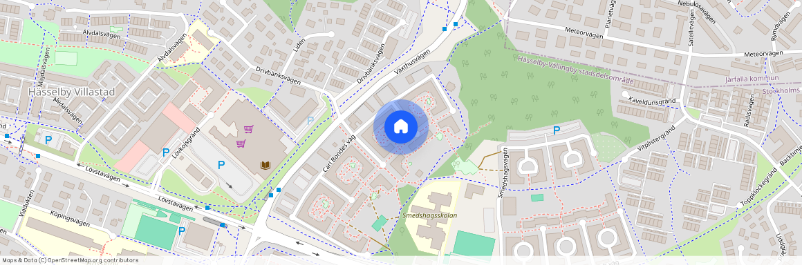 Carl Bondes väg 60, Villastaden