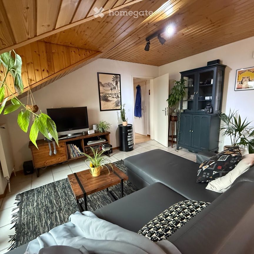 2.5 Zimmer, 51 m² - Foto 1