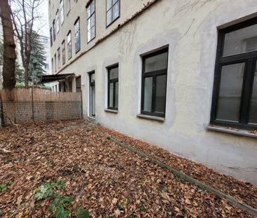 Mohsgasse: zentrale 3-Zimmer Gartenwohnung - Photo 5