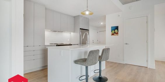 Appartement Mercier/Hochelaga-Maisonneuve (Montréal) À Louer - Photo 3