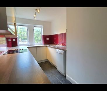 3 Bed Flat, Canting Way, G51 - Photo 5