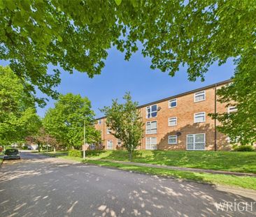 3 bedroom Apartment - Nettlecroft, Welwyn Garden City - Photo 5