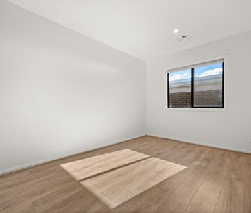 88 Tredwell Street, Strathnairn ACT 2615 - House For Rent | Domain - Photo 6
