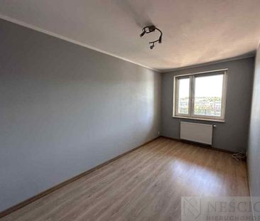 Siedlce - Zdjęcie 1