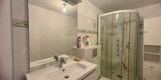 Location Appartement 1 pièce 25m² RAMONVILLE ST AGNE 31520 - Photo 3