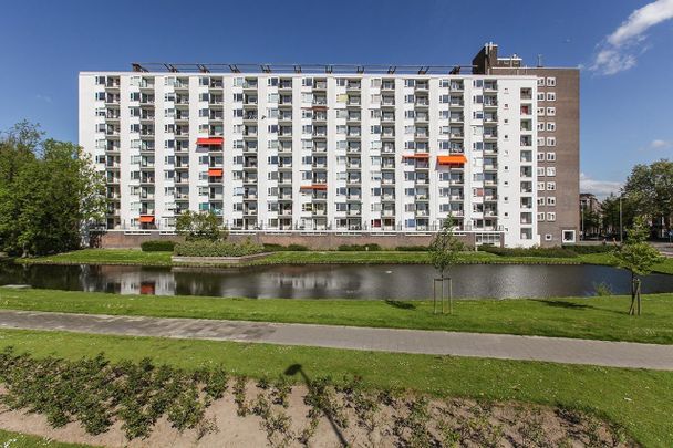 Te huur: Appartement Suze Groeneweglaan in Rotterdam - Foto 1
