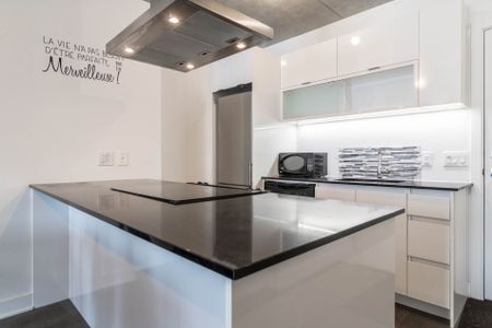 Condo for rent, Montréal (Le Sud-Ouest) - Photo 5
