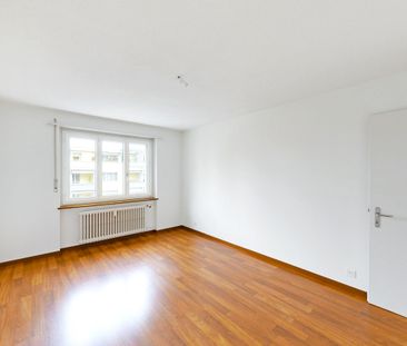 Living near Lake Lucerne - Photo 2