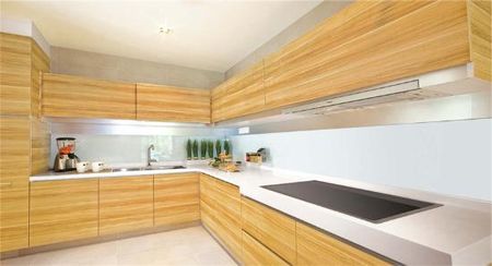 Waterscape at Cavenagh (D9), Apartment - For Rent - Photo 5