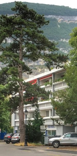 Charmant appartement de 2 pièces au 1er étage - Foto 1