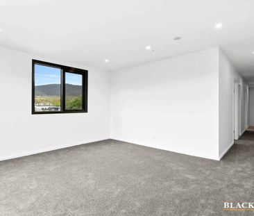 Brand New Two Bedroom Apartment - Photo 4