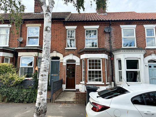 3 bedroom mid-terrace to rent Muriel Road, Norwich, NR2 - Photo 1