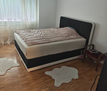Wohnung in Döttingen - Foto 1