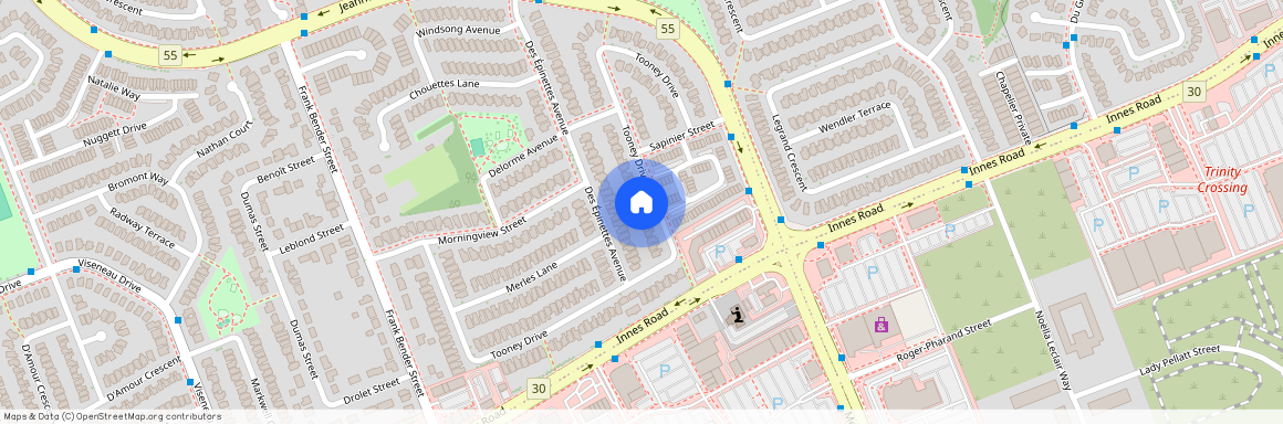 6651 Tooney Drive, Orleans - Convent Glen And Area