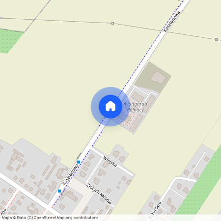 ul. Kasztanowa, Kutno, kutnowski, łódzkie