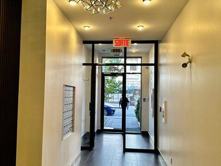 3456 Av. du Parc - Photo 3