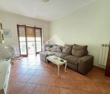 Trilocale in affitto - Photo 1