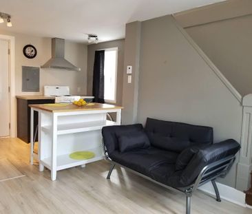 JANVIER Coquet 3.5+bur. meublé hydro inclus - personne seule - Photo 1