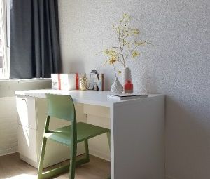 Lutherse Burgwal - Foto 4