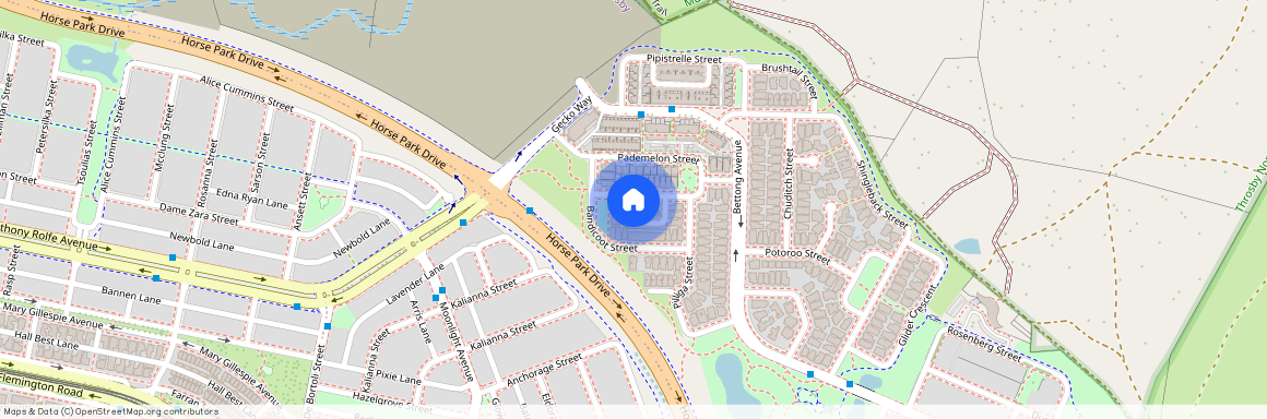 61B Pademelon Street, 2914, Throsby Act