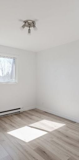 Appartement 3 ½ à louer Lévis novembre 2025 - Photo 1