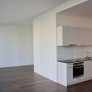 Spacious studio/apartment for singles - Photo 2