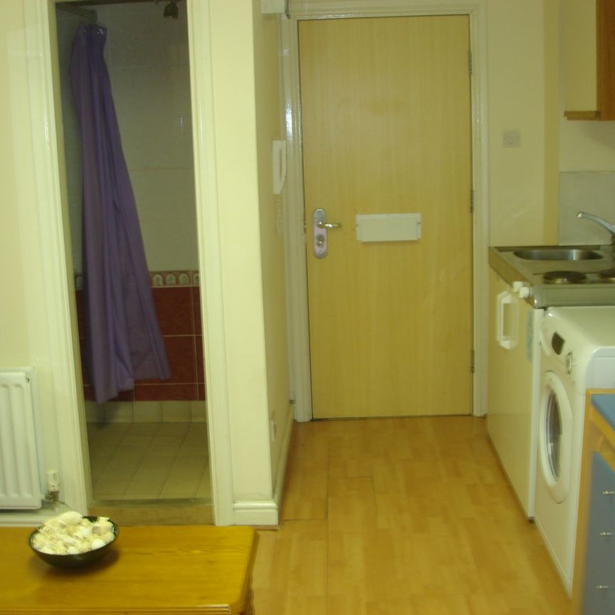 1 Bedroom Studio - Photo 2