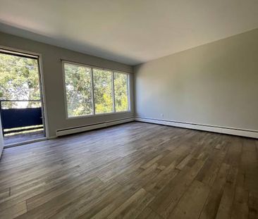 Spacious Newly Renovated 2 Bedroom Near Downtown - Photo 4