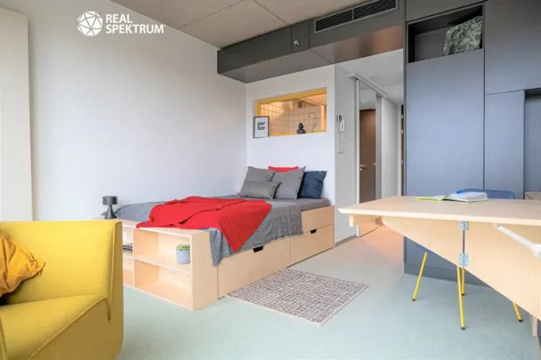 Pronájem moderního 1+kk (Economy) u Vaňkovky – BEZ PROVIZE! - Fotografie 1