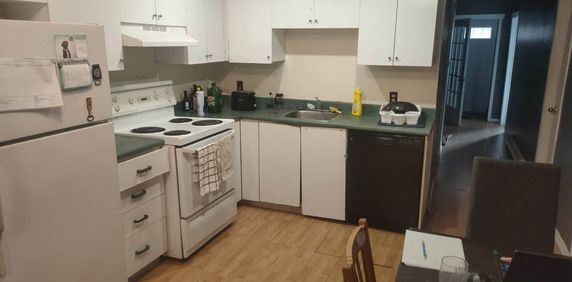 Mile-End - Beau 5 1/2 Au Rez De Chaussée - Photo 2